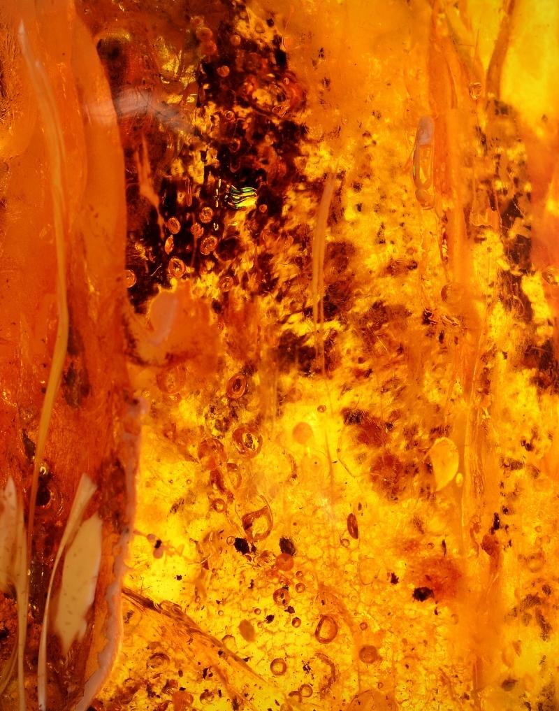 Fragrance Oil Amber Napalese Oud