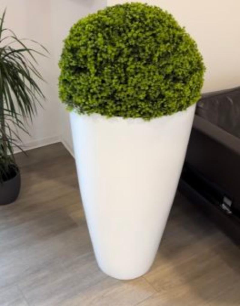 Diffuser Plant